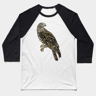 Honey Buzzard Baseball T-Shirt